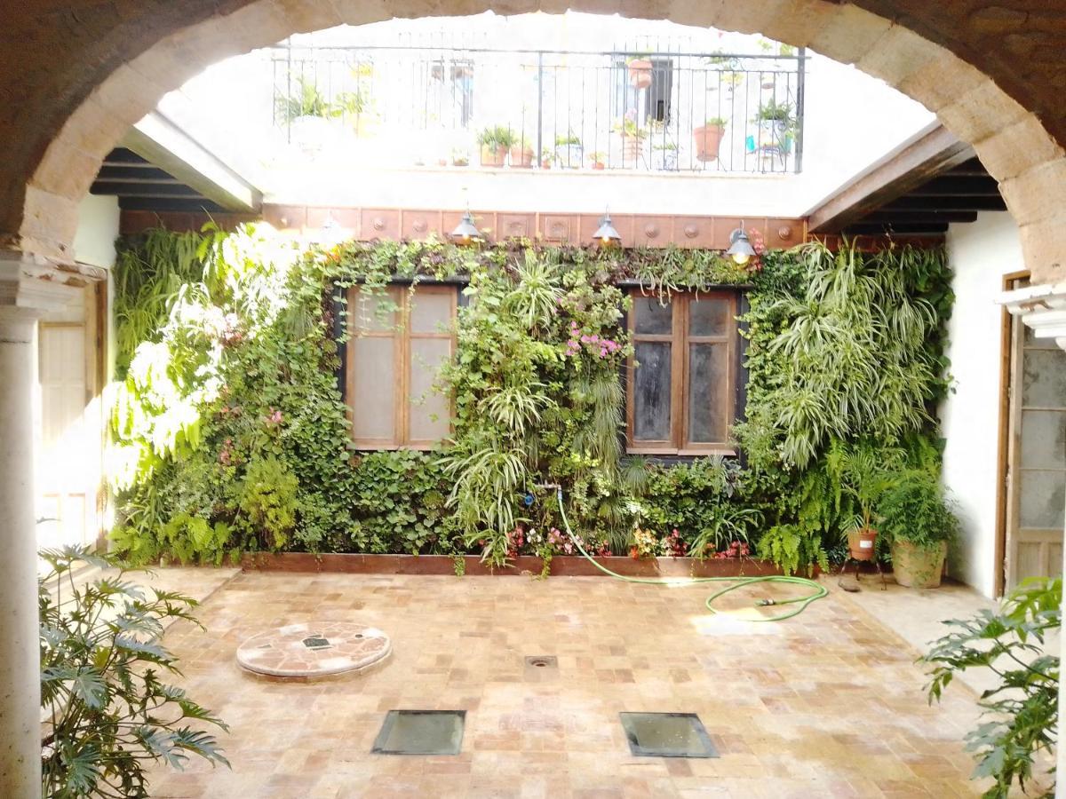 Apartmán La Gota De Leche 2 Sanlúcar de Barrameda Exteriér fotografie